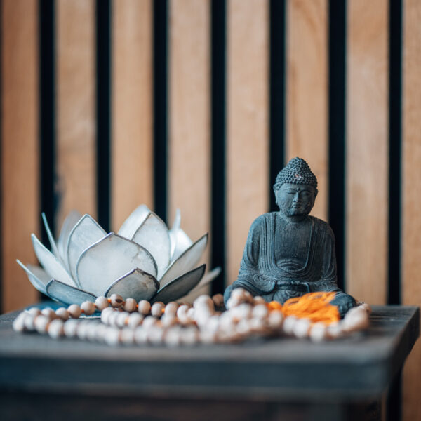 pixeltypen-riverroom_yoga-image-250715-8026